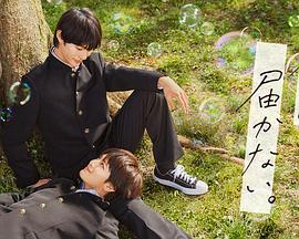 岳阳咨询网站建设优化